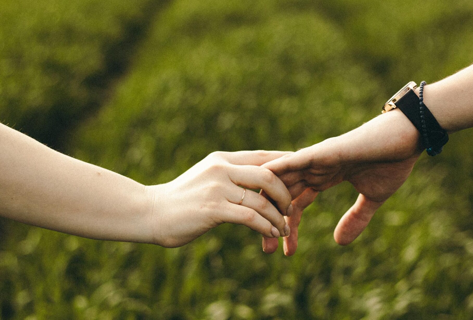 A touching moment as a couple holds hands in a lush green field, symbolizing love and togetherness.